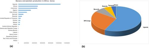 Genetic Improvement of Banana for Resistance to Xanthomonas Wilt in East Africa
