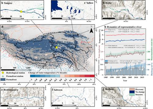 Accelerated Permafrost Thaw Linked to Rising River Temperature and Widening Channels