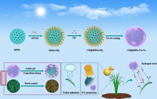 Design of highly leaf-adhesive and anti-UV herbicide nanoformulation for enhanced herbicidal activity