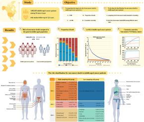 Risk classification for non-cancer death in middle-aged cancer patients