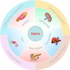 Advances in statin adverse reactions and the potential mechanisms: A systematic review
