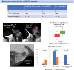 Combined pulsed field ablation and left atrial appendage occlusion: A multicenter comparative study