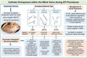 The mitral valve complex: A complex trap to be avoided by cardiac electrophysiologists—A systematic review