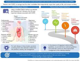A person-centred clinical approach to the multimorbid patient with COPD