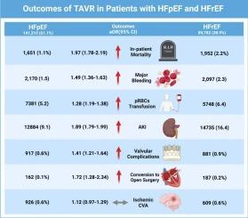 Outcomes of transcatheter aortic valve replacement in heart failure patients: Insights from the National Readmission Database
