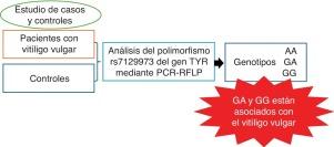 [Artículo traducido] Asociación entre Vitiligo vulgaris y el polimorfismo rs7129973 del gen TYR en la población mexicana