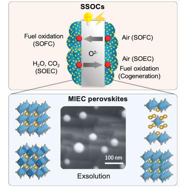 Activation of bifunctional perovskite oxides through exsolution in symmetrical solid oxide cells: Recent advances, challenges, and outlook