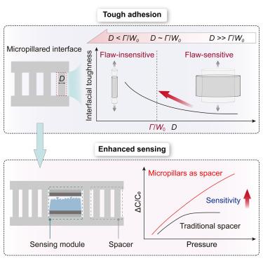Micropillar-enabled tough adhesion and enhanced sensing