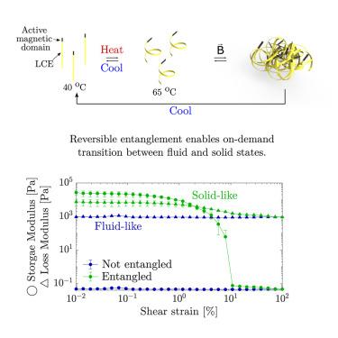 Collective action and entanglement of magnetically active liquid crystal elastomer ribbons