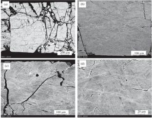 Trace Element Behavior during Shock Transformation of Zircon to Reidite