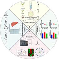 Changes in tea exosome-like nanoparticles fermented by Aspergillus cristatus and the preventive effects on non-alcoholic fatty liver disease