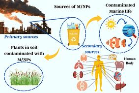 The role and significance of graphene oxide in the remediation of micro- and nanoplastics from the environment