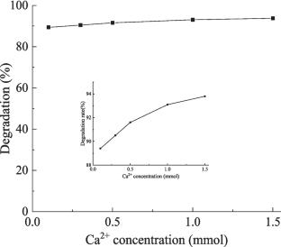 Photocatalytic Degradation of Tetracycline Hydrochloride by Modified TiO2 Catalyst