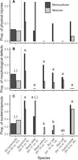 Do hardwood species benefit from mixing with hybrid poplar? Evidence from a 10-year temperate tree-based intercropping system