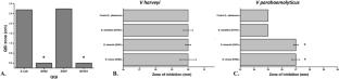 Evaluation of gut-derived quorum quenchers: battling vibriosis with shrimp-source probiotics using brine shrimp model