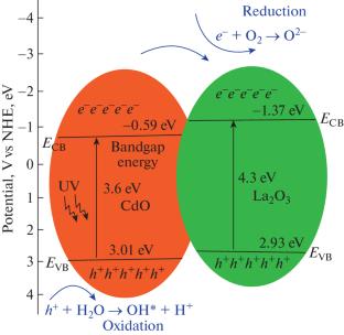 Structural, Optical, and Photocatalytic Properties of CdO/La2O3/PVP Nanocomposites by Microwave Irradiation Method