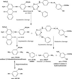 Enhanced Bacterial Degradation of Azo dyes by Escherichia sp. PP001: Optimization, Kinetics, Degradation Pathway, Phytotoxicity and Textile Wastewater Treatment