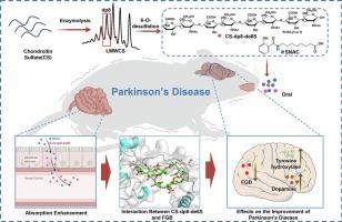 Oral efficacy of structurally defined chondroitin sulfate Co-administered with SNAC in Parkinson's disease