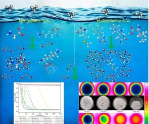 Green chemistry advancement in methane storage: revealing the role of amino acid types and side chain characteristics in the formation and decomposition of methane hydrates
