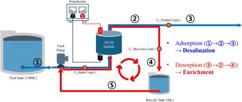 Evaluating circulation-type MCDI as a dual-function system for ion removal and enrichment