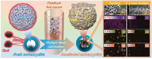Deactivation features of CaO-based sorbents during coal-assisted calcination under fluidization states