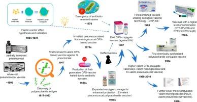Polysaccharide conjugate vaccines: From historical milestones to future strategies