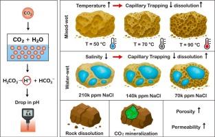 Reactive transport modeling of CO2 trapping in carbonate saline aquifers: Coupled effects of wettability, temperature, and salinity on mineralization and storage efficiency