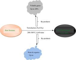 Status overview of the torrefaction technology, its limitations, and prospective solutions: A reactor design and performance viewpoint