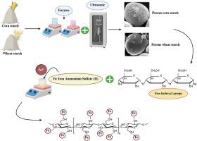 Iron fortification using porous corn and wheat starches prepared by combined ultrasound and α-amylase treatments