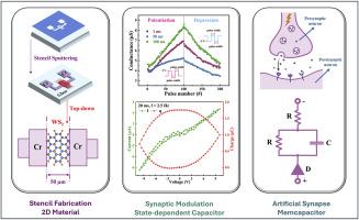 State-dependent capacitance property and synaptic behavior of memcapacitor based on WS2 nanosheets
