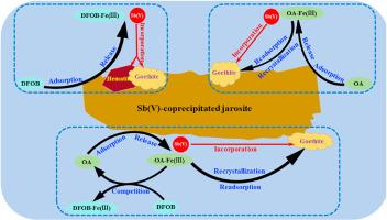 Mobility of antimony during Sb(V)-bearing jarosite transformation: Influence of desferrioxamine B and oxalic acid