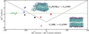 Designing ion pair amphiphiles for biomimetic bilayer formation via the Law of Matching Water Affinity