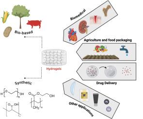Eco-hydrogels: The new frontier of sustainability: A review