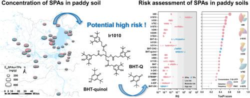 Synthetic phenolic antioxidants in paddy soils from central China: Contamination characteristics and risk prioritization analysis