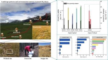 Temporal-spatial characteristics and environmental controls of annual CH4 fluxes in a Tibetan alpine landscape