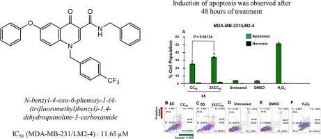 Novel 4-quinolone derivative inflicted cytotoxicity via intrinsic apoptotic pathway activation on human metastatic triple-negative breast cancer cells
