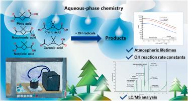 Formation and kinetics of terpenoic acids from α-pinene and δ-3-carene-derived SOA components via aqueous-phase OH radicals