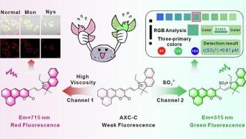 Quantum chemical-guided design of a near-infrared probe for simultaneous monitoring of SO₂ derivatives and viscosity for mitochondrial in apoptotic cells