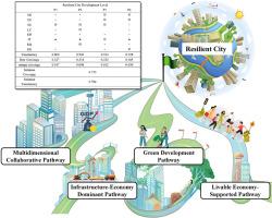 Where do resilient cities grow? Exploring the pathways and mechanisms of resilience development