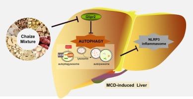Chaize mixture alleviates NAFLD by regulating Glipr2-related autophagy/NLRP3 signaling