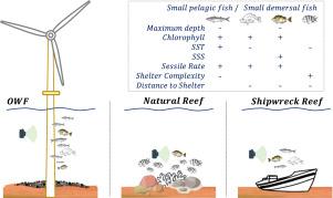 Investigating potential fish distributions in artificial and natural reefs using an optical method: Insights from subtropical offshore wind farms