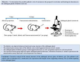 Curcumin mitigates the histopathological and molecular changes in sublingual glands in diabetic male rats
