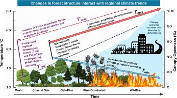 Microclimate vulnerability under coupled effects of changing climate and forest structure