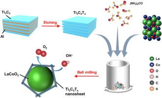 Interfacial interplay in LaCoO3/Ti3C2Tx composites enables kinetic enhancement in electrochemical oxygen evolution