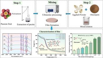 Ultrasound-enhanced bio-based active packaging films derived from passion fruit waste pectin: structural evolution, property correlations, and antioxidant activity through eggshell and oleuropein integration