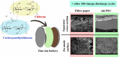 Chitosan-based polyelectrolyte complex membrane of carboxymethylchitosan and chitosan as alternative separator for zinc dendrite suppression in zinc-ion batteries