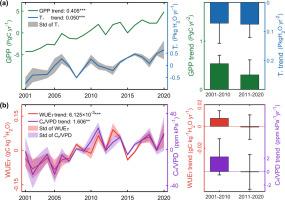 Global patterns and trends of vegetation water use efficiency inferred from solar-induced chlorophyll fluorescence from 2001 to 2020