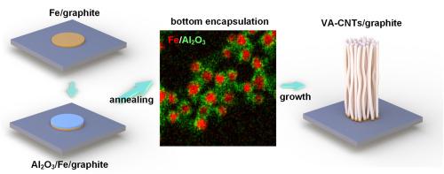 Enhanced catalyst nucleation for vertically grafted CNTs in 3D heterostructures on defect-free 2D materials