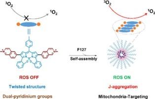 Supramolecular engineering of J-aggregated BODIPY derivatives with assembly-enhanced ROS generation for mitochondrial Cancer therapy