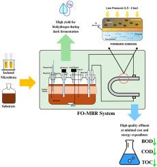 Forward osmosis membrane bioreactor for sustainable hydrogen production from waste molasses